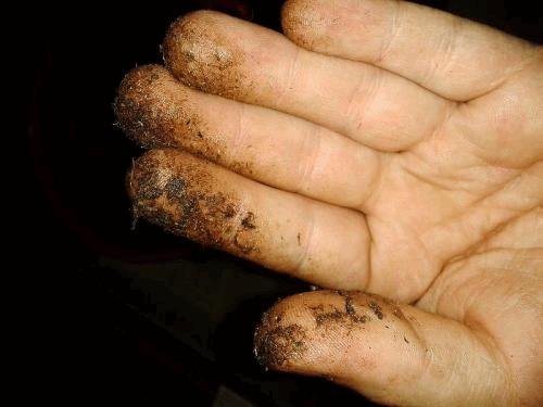 post-811062-0-33192000-1382743753_thumb.jpg