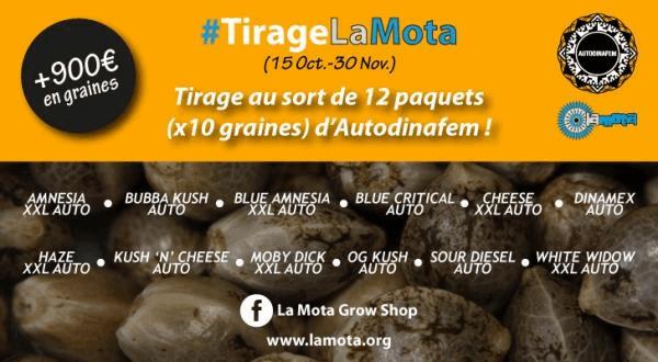 Banner_Tirage_LM.jpg