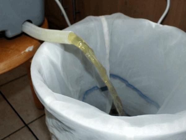 DSCF8529.JPG