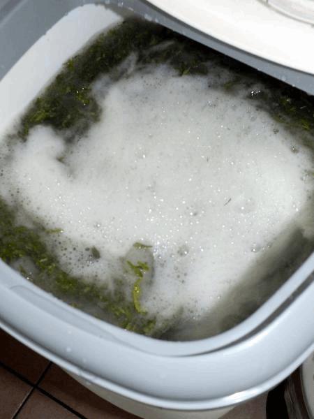 DSCF8515.JPG