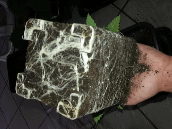 20161002_122113.jpg