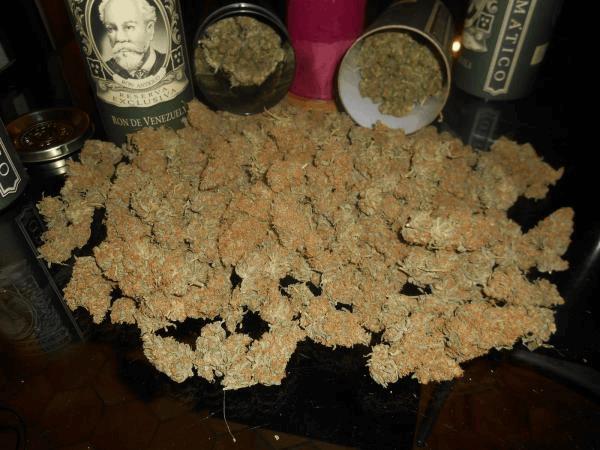 C+ fran420.jpg