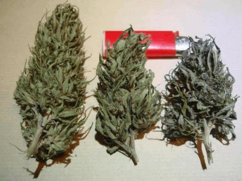 Lebanese(produit fini).JPG