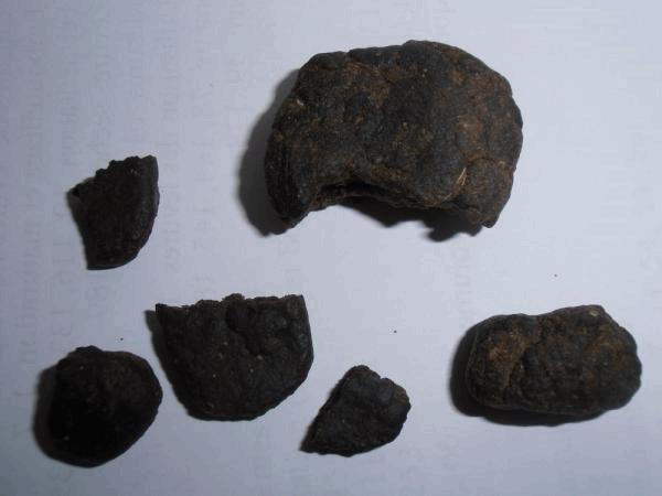 12r.jpg