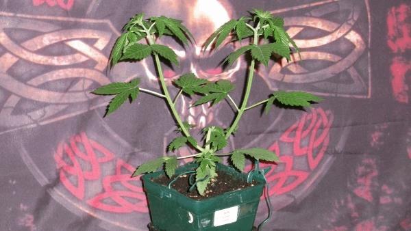 100_2611.JPG