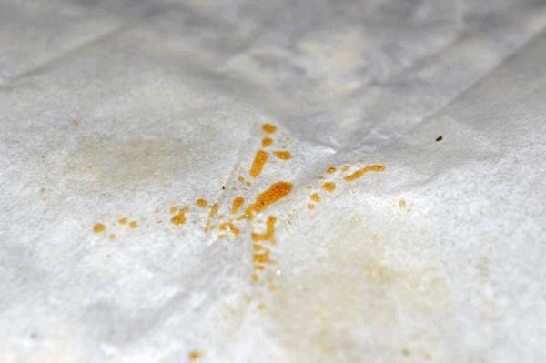rosin-extra.jpg