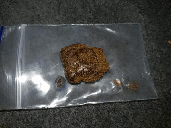 20161111_115213.jpg