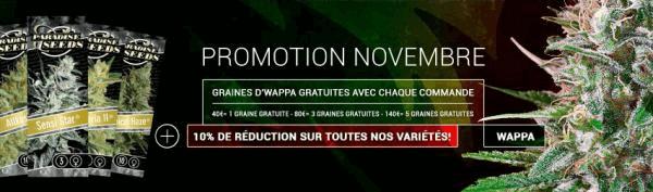 FR_NOVEMBER_PROMO_2016_852x250.jpg