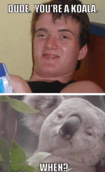 post-858034-0-61657700-1479822731_thumb.jpg