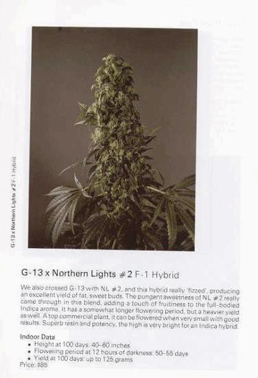 TSB1990page81.jpg