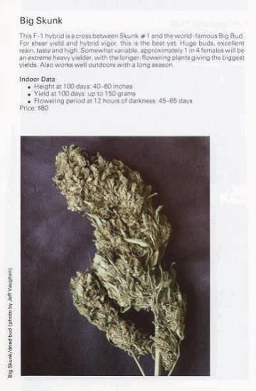 TSB1990page171.jpg