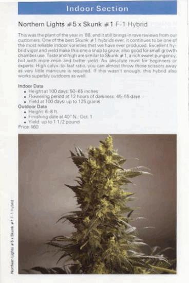 TSB1990page21.jpg