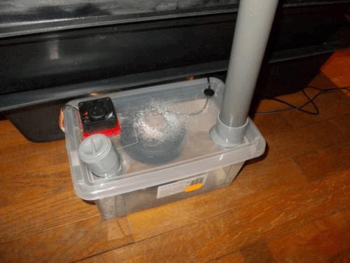 DSCN3539.JPG