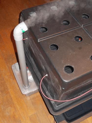 DSCN3545.JPG