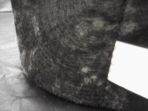 post-793567-0-97559200-1356187495_thumb.jpg