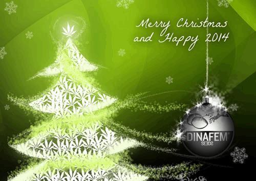 DNF-christmas-1 Foto.jpg