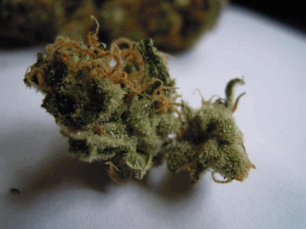post-741935-0-74731100-1417643823_thumb.jpg