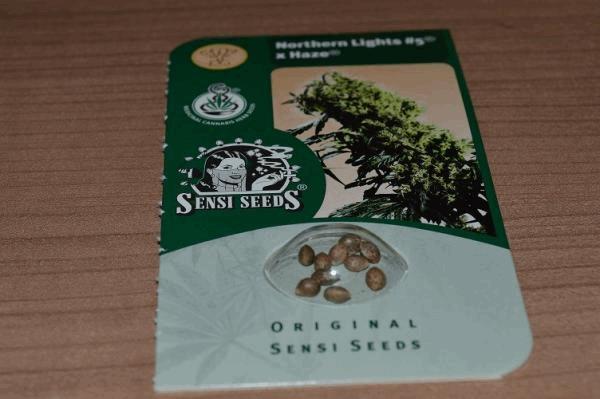 SeedCU.jpg
