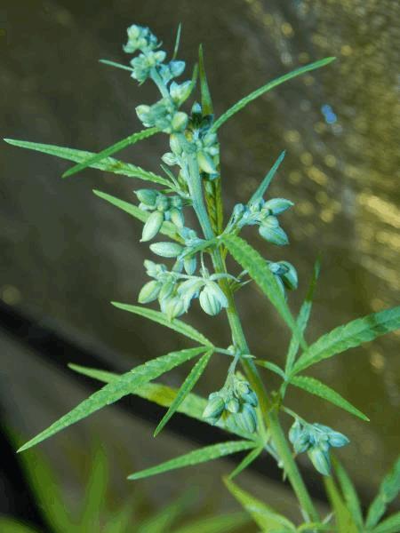 DSCN3029.jpg