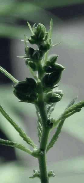 DSCN3076.jpg