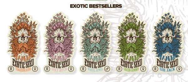 exo seeds.jpg