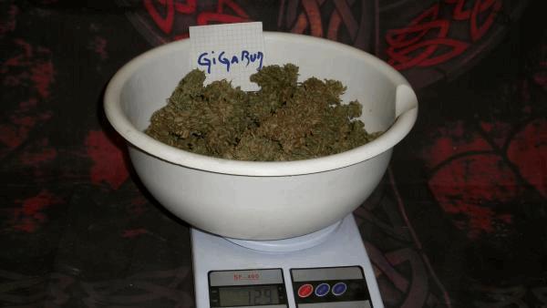 100_2679.JPG