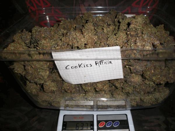 100_2687.JPG