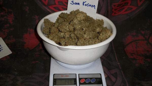 100_2681.JPG