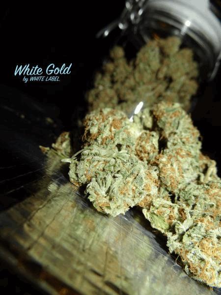White Gold White Label #2.jpg