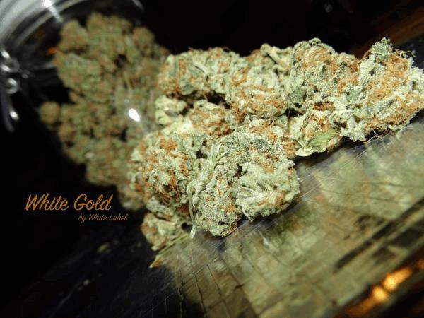 White Gold White Label #1.jpg