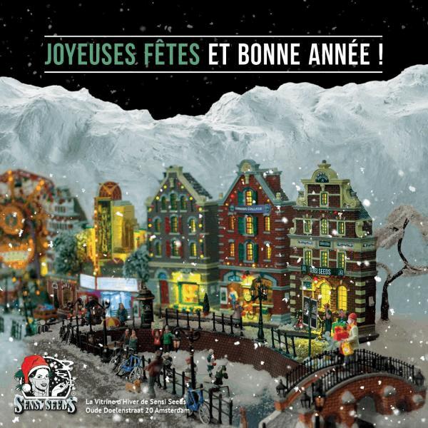 bonne annee.jpg