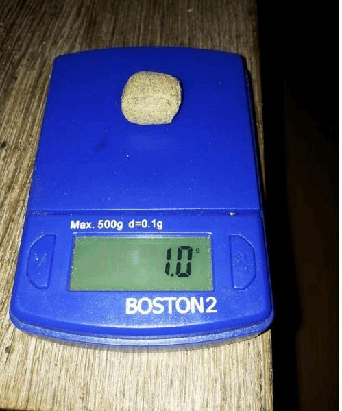1g.jpg