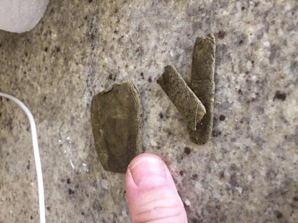 post-843303-0-86007200-1449406755_thumb.jpeg