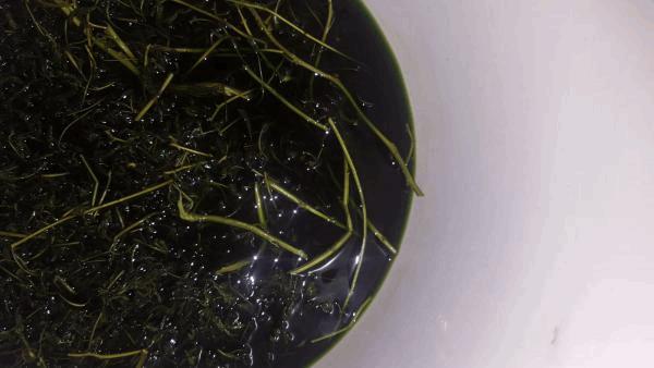 20161230_142245.jpg