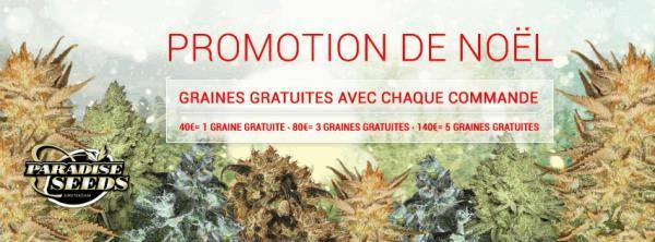 FR_DEC_PROMO_2016_FB.jpg