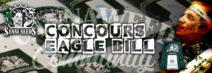 Concours Eagle Bill