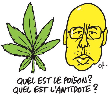 Cannabis, je te hais