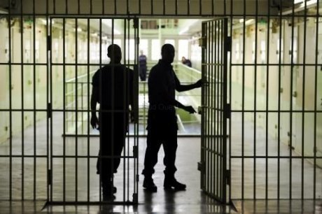plusieurs plans de cannabis decouverts dans  la prison de Saint Martin en Ré