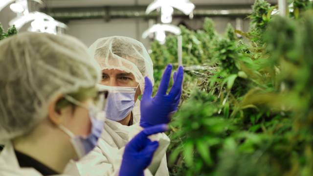 Le Canada et Israël « cultivent » ensemble