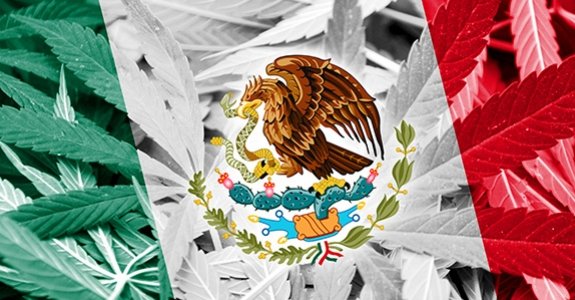 La légalisation aux États-Unis fait chuter les meurtres liés aux cartels Mexicains
