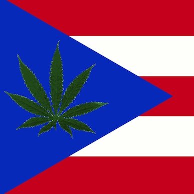 Porto Rico légalise le cannabis médical