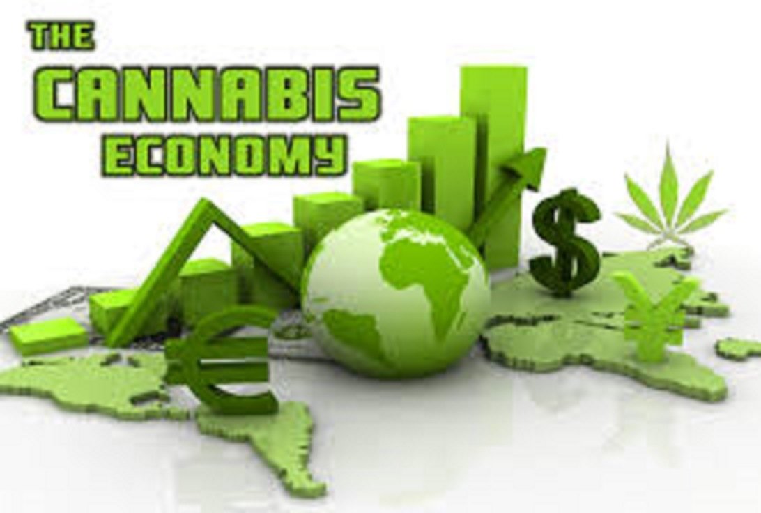 Le cannabis pour relancer la croissance