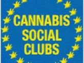 Une 20aine de Cannabis social Clubs déclarés en préfecture