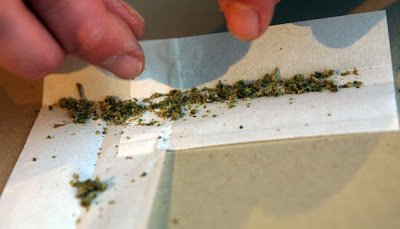 Cannabis: 60% des Français sont pour son autorisation