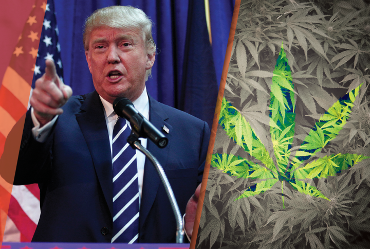 Des procannabis s’invitent à l’investiture de Trump