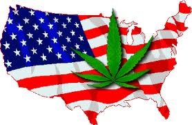 Le candidat à la présidence devra être pro-marijuana pour gagner l’élection de 2016