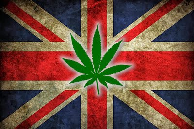 Pression pour la légalisation au Royaume-Uni