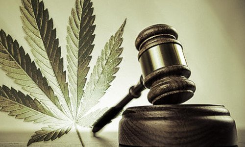 Cannabis : un débat de campagne inédit