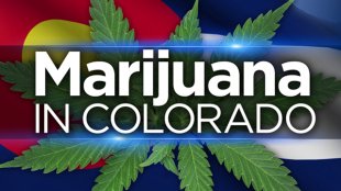 Cannabis au Colorado ,le bilan de la légalisation 2015