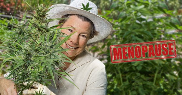 Le cannabis et la ménopause